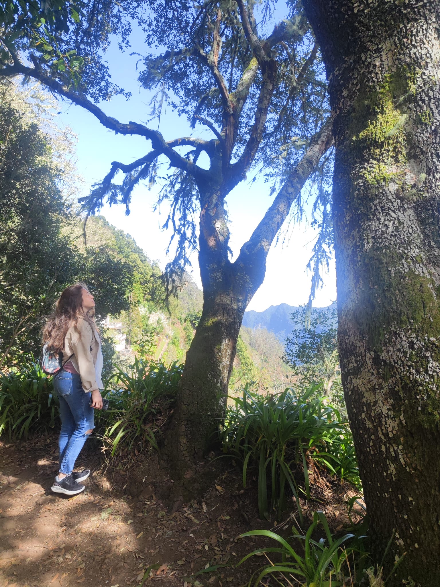 Jessica on a forest trail in Madeira